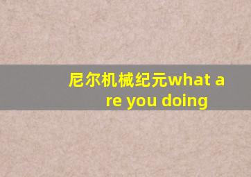 尼尔机械纪元what are you doing